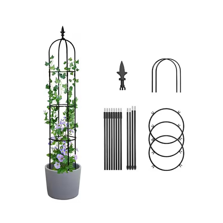 Treillis d'obélisque de jardin
