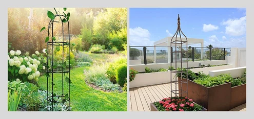 climbing plant support climbing plant support