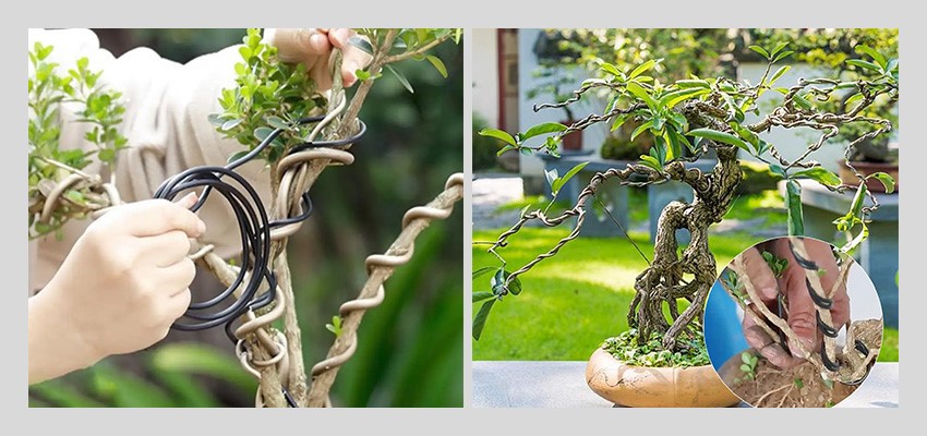 Flexible Bonsai Wire Flexible Bonsai Wire