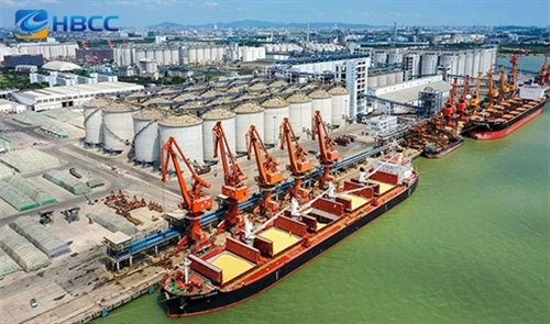 Solutions de logistique mondiale et de-livraison à temps|Exportation de quinc...