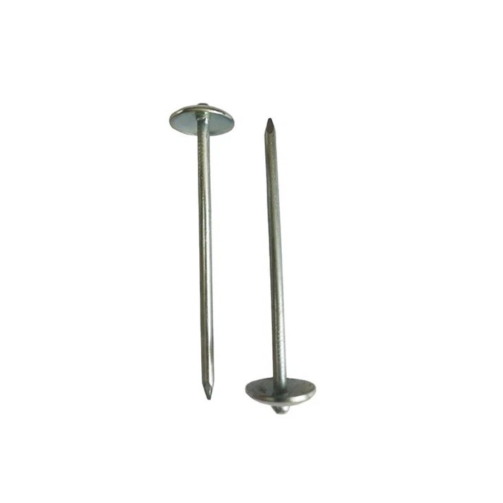 Fabricants de clous de toiture pour parapluie galvanisés lisses